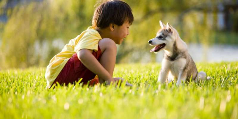 Nằm Mơ Thấy Chó Cắn Vào Chân Đánh Số Gì? - Để Đổi Đời 2 Giấc mơ thấy bạn thân thiết bị chó con cắn vào chân
