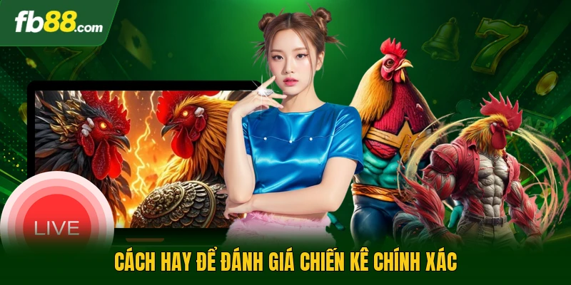 Cách hay để đánh giá chiến kê chính xác