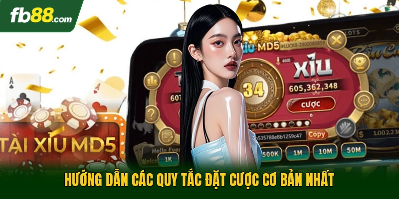 Hilo Thái Lan - Trò Chơi Xúc Xắc Trực Tuyến Đầy Cuốn Hút 2 Hướng dẫn các quy tắc đặt cược cơ bản nhất
