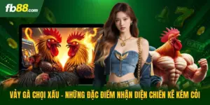 Vảy Gà Chọi Xấu - Những Đặc Điểm Nhận Diện Chiến Kê Kém Cỏi