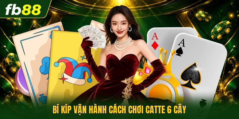Bí kíp vận hành cách chơi Catte 6 cây