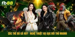 Các Thế Đá Gà Hay - Nghệ Thuật Hạ Gục Đối Thủ Nhanh