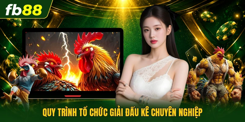 Trường Gà Long An | Điểm Hẹn Cá Cược Cựa Sắt Đỉnh Cao 3 Quy trình tổ chức giải đấu kê chuyên nghiệp