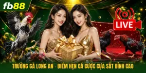 Trường Gà Long An - Điểm Hẹn Cá Cược Cựa Sắt Đỉnh Cao
